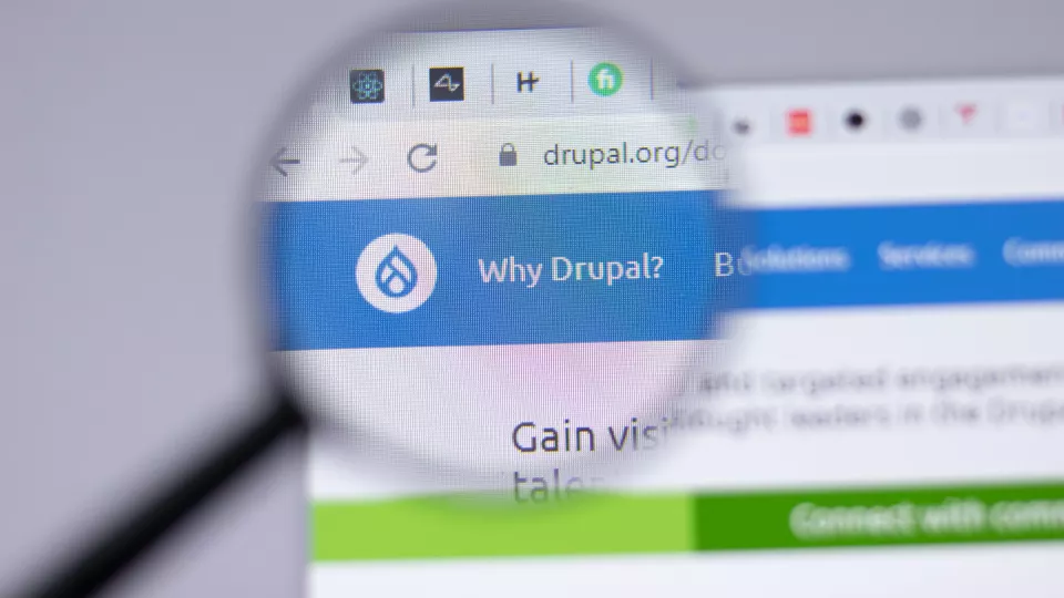 dlaczego drupal